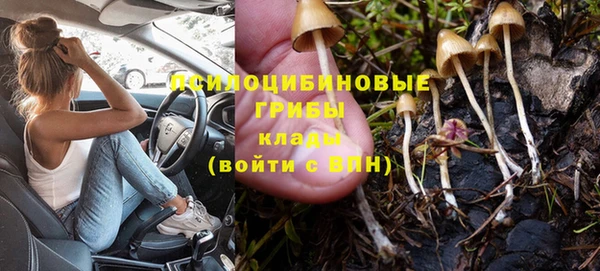 PSILOCYBIN Абинск